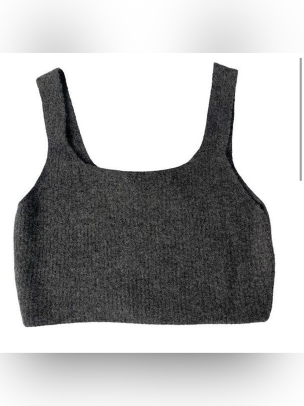 Everlane Dark Gray Wool Blend Cropped Top NWT L #721